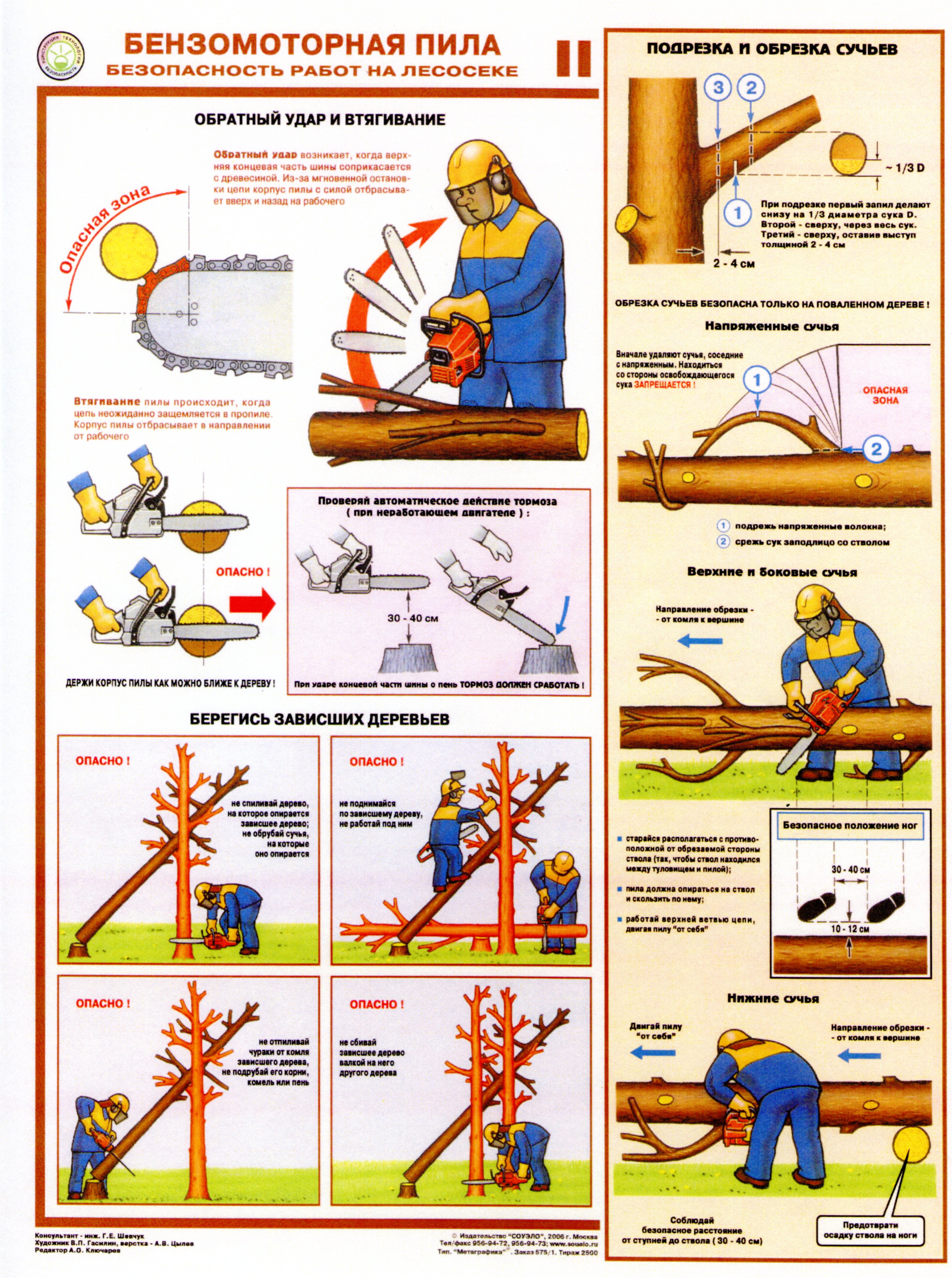 Инструкции по охране труда для вальщика леса и лесоруба